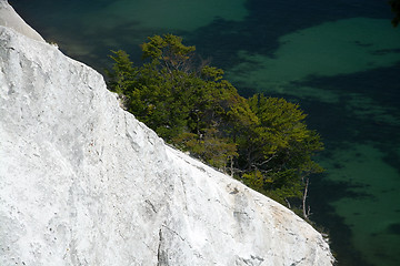 Image showing Mons Klint, Denmark