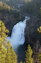 Image showing Yellowstone National Park, USA