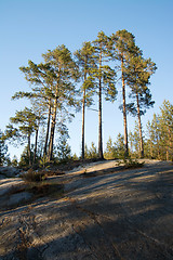 Image showing Angermanaelven, Sweden