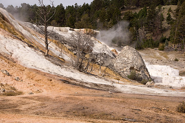 Image showing Yellowstone National Park, USA