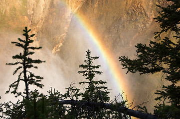 Image showing Yellowstone National Park, USA