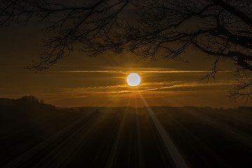 Image showing Morning Fog