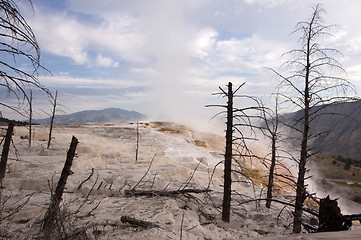 Image showing Yellowstone National Park, USA