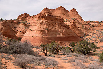 Image showing Coyote Buttes South, Utah, USA