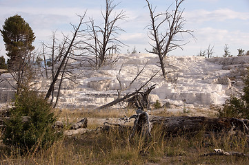 Image showing Yellowstone National Park, USA