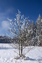 Image showing Ica Age in Muehlberg, Bavaria, Germany