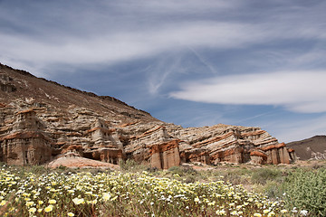 Image showing Antelope Valley Poppy Reserve, California, USA