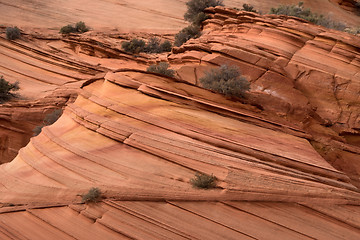 Image showing Coyote Buttes South, Utah, USA