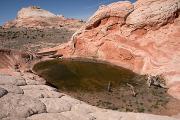 Image showing White Pocket Canyon, Arizona, USA