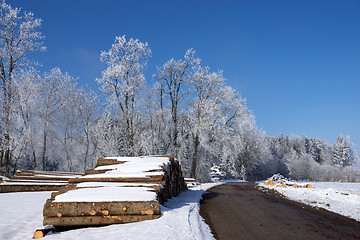 Image showing Round Wood