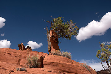 Image showing Edmaiers Secret, Utah, USA