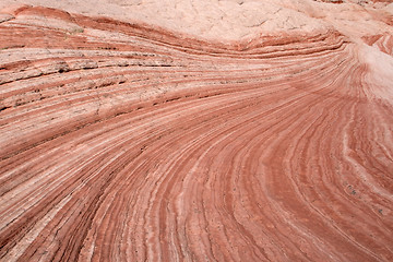 Image showing White Pocket Canyon, Arizona, USA