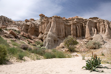 Image showing Antelope Valley Poppy Reserve, California, USA