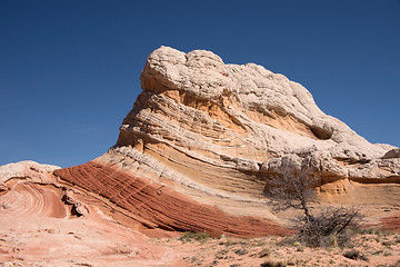 Image showing White Pocket Canyon, Arizona, USA