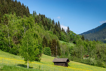 Image showing Turrach High, Carinthia, Austria