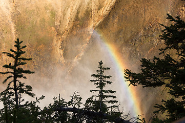 Image showing Yellowstone National Park, USA