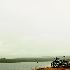 Image showing Abandoned Bicycles