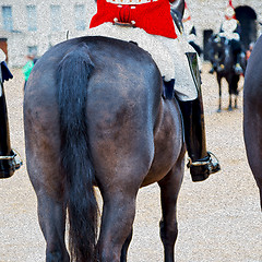 Image showing in london england horse and cavalry for    the queen