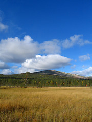 Image showing Ylläs