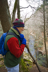 Image showing man hiking in woods