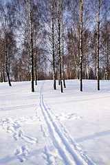 Image showing snow with a path from a sledge  