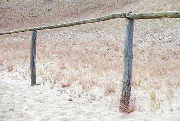 Image showing Pathway through dunes