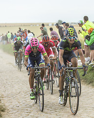 Image showing The Peloton on a Cobblestone Road - Tour de France 2015