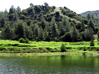 Image showing Water green. Cyprus