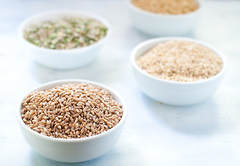 Image showing Cereal grains , barley , soybean , rice , millet , spelled