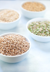 Image showing Cereal grains , barley , soybean , rice , millet , spelled