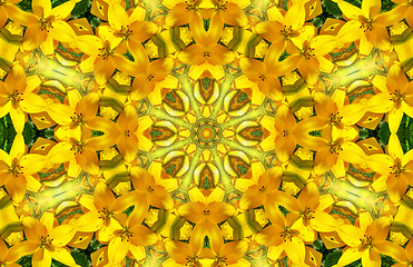 Image showing Flower abstract pattern