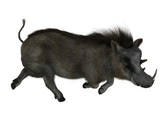 Image showing Warthog