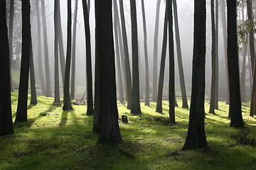 Image showing Presidio, San Francisco, CA