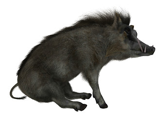 Image showing Warthog