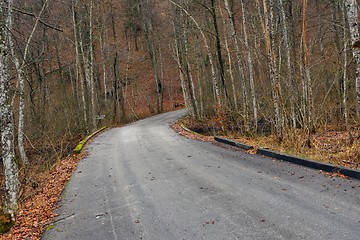 Image showing Road in autumn forest landscape