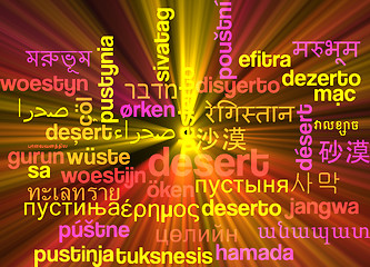 Image showing Desert multilanguage wordcloud background concept glowing