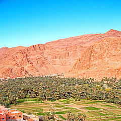 Image showing  in todra gorge morocco africa and  village