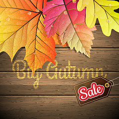 Image showing Autumn leaves Sale poster. EPS 10