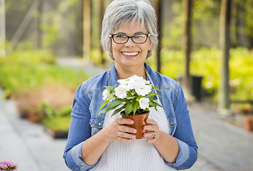 Image showing Working in a flower shop