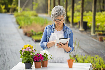 Image showing Working in a flower shop