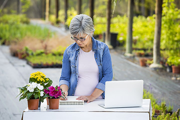 Image showing Working in a flower shop