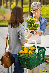 Image showing Worker and customer in a green house