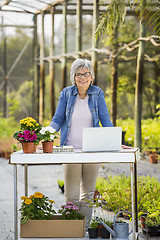 Image showing Working in a flower shop