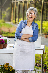 Image showing Working in a flower shop