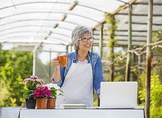 Image showing Coffee break