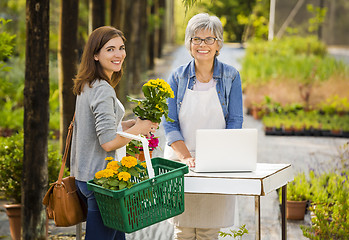 Image showing Worker and customer in a green house