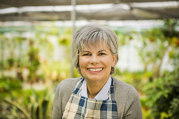 Image showing A day in a green house