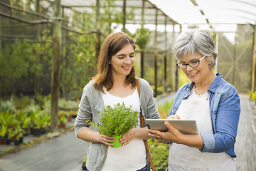 Image showing Worker and customer in a green house