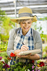 Image showing Working in a greenhouse