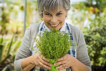 Image showing Choosing fresh herbs